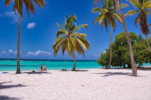 Hawaii 전경
