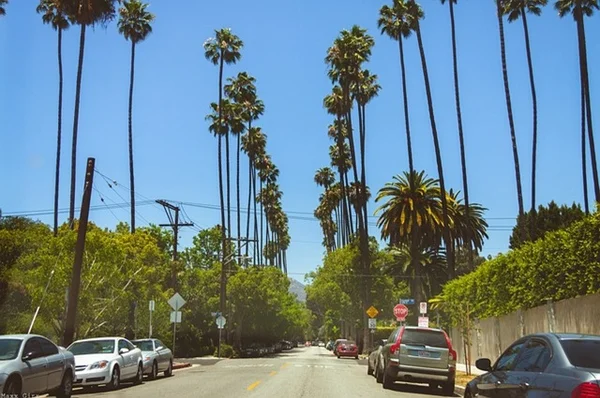 Los Angeles 전경